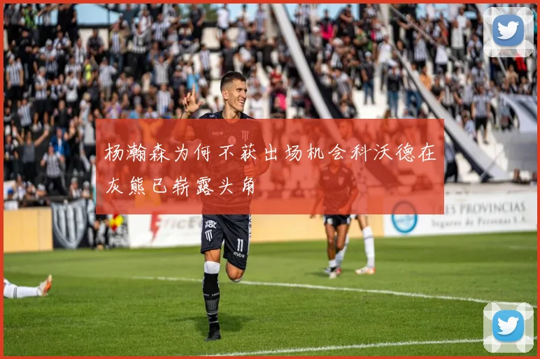 杨瀚森为何不获出场机会科沃德在灰熊已崭露头角