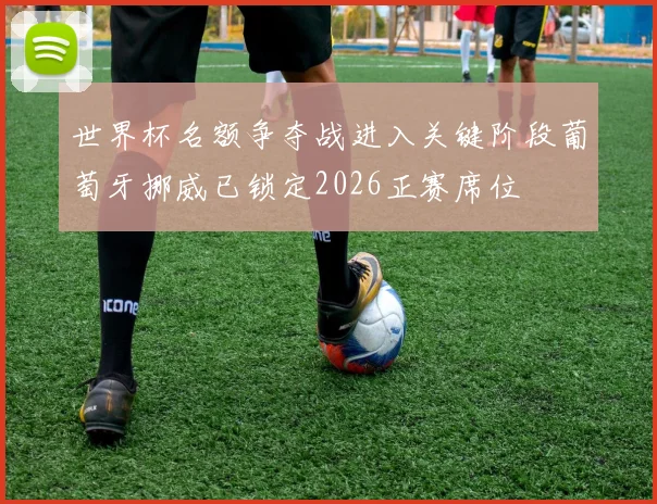 世界杯名额争夺战进入关键阶段葡萄牙挪威已锁定2026正赛席位