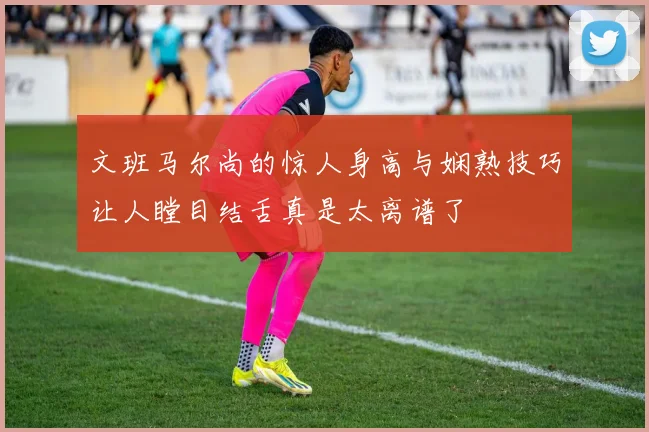 文班马尔尚的惊人身高与娴熟技巧让人瞠目结舌真是太离谱了