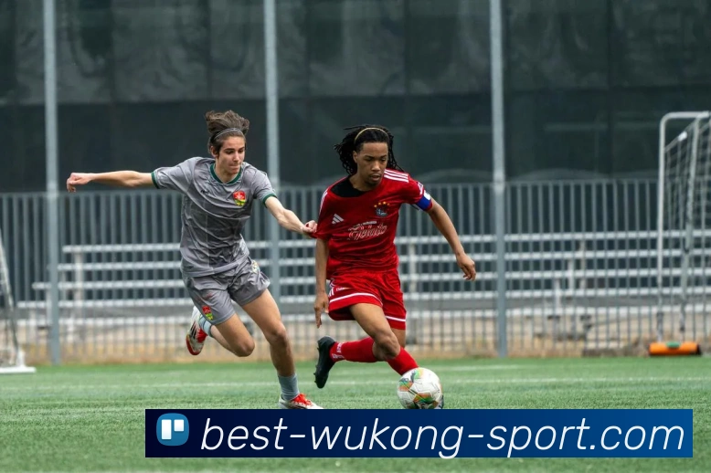 App Interface Preview