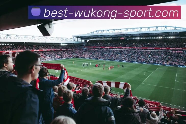 悟空体育APP 封面图