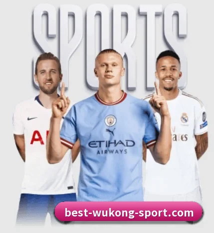 从比分速递到赛后复盘的完整链路 - WukongSports