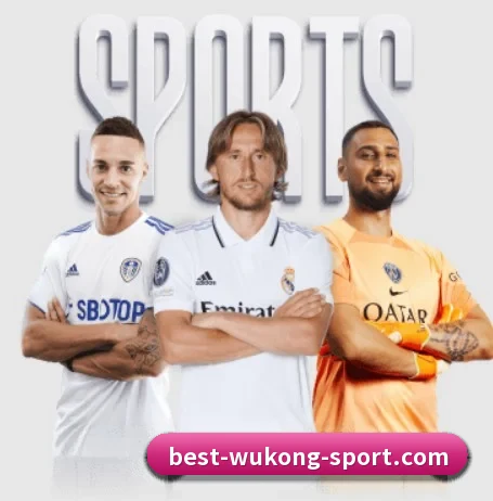 平台愿景 - 长期内容价值积累（WukongSports）